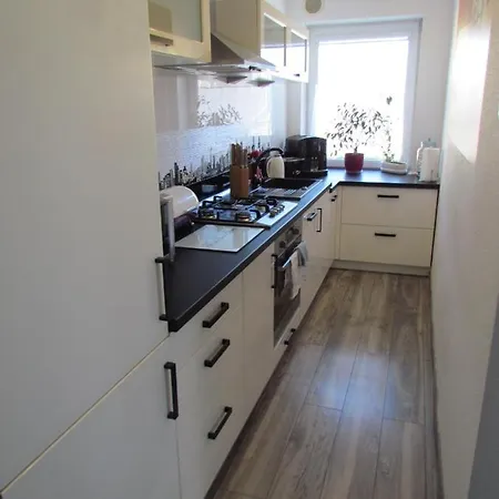 Ella 波兰尼卡-兹德鲁伊