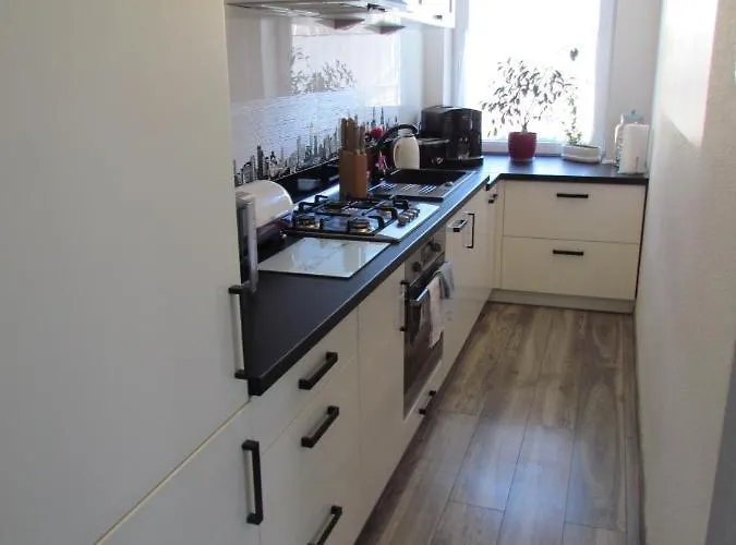 Ella 폴라니카-즈루이